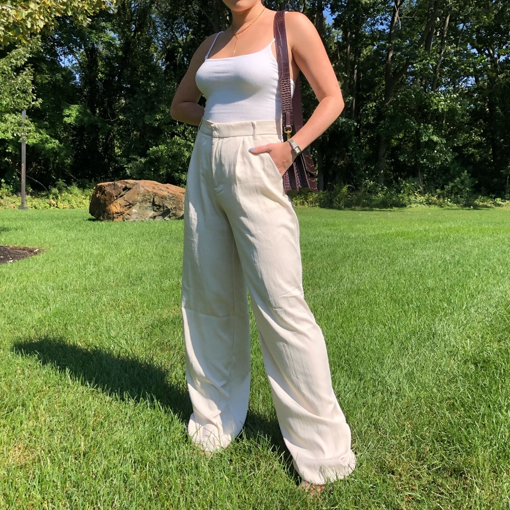 Zara Wide Leg Pleated Pants